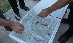 Tayland - Tokat - İstanbul! Fıkra Gibi Olay