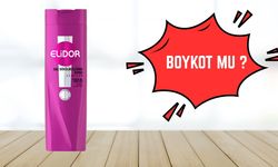 Elidor Boykot Mu? Elidor İsrail Malı Mı, Kimin?