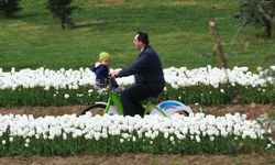 Kocaeli'de Bu Yaz Yüzbinler Pedalladı