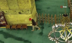 “Ayasofya'nın Halısını Yaktı, Amacım Kundaklamaktı Dedi”