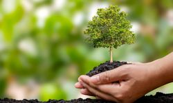 11 Kasım Ne Günü? 11 Kasım Türkiye’de Ne Günü?