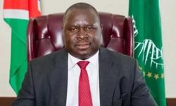 Adolf Hitler'in Afrika'daki seçimi kazanması bekleniyor