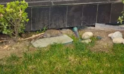 41 Burda AVM’de Şok Görüntü