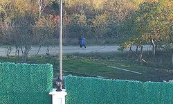 Kayıp anne ve oğlunun görüntüleri çıktı