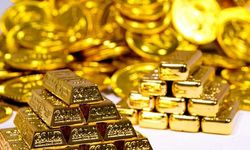 Merkez Bankası Altın Alımını Durdurdu