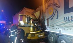 Arıza yapan tıra çarpan kamyon şoförü hayatını kaybetti