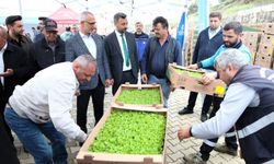 Gebzeli çiftçiye 500 bin sebze fidesi