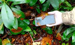 Dere yatağında ölü bulunan anneye ait cep telefonu bulundu