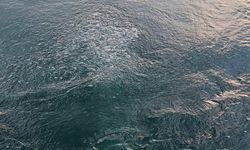 Sapanca Gölü'nde esrarengiz görüntü