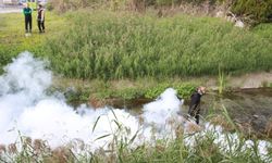 Kocaeli'de Sivrisineklerle Mücadele Kışa Taşındı