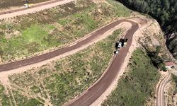 Körfez'e 3 bin 300 Toros sediri dikilecek