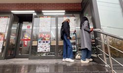 Sokak kedilerinin market mesaisi