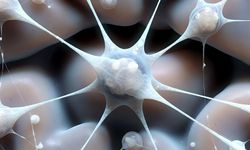 Alzheimer’a Karşı Doğal Temizlik!