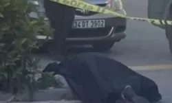 Banu Alkan’ın kardeşi Edremit’te hayatını kaybetti