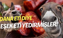 Dana eti diye eşek eti yedirmişler!