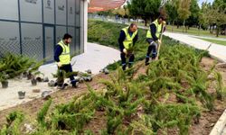 Millet Bahçesi'nde Temizlik ve Bakım Seferberliği