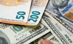 Dolar/TL bugün ne kadar? (19 Kasım 2025 dolar - Euro fiyatları)