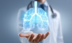 12 Kasım Ne Günü? 12 Kasım Türkiye’de ve Dünyada Ne Günü?