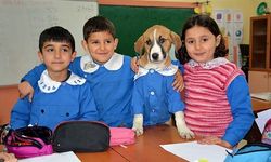 Milyonlarca öğrenci okula döndü!