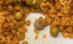 KYK Yurdu Yemeklerinden Böcek Çıktı!