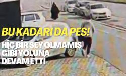 Sakarya'da ilginç görüntü!