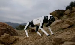 Robot Köpek Dönemi Başlıyor