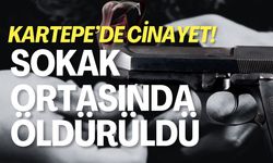 Kartepe'de Cinayet: Sokak Ortasında Öldürüldü!