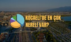 Kocaeli'de En Çok Nereli Var?