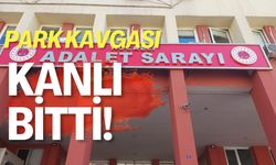 Park Kavgası Kanlı Bitti