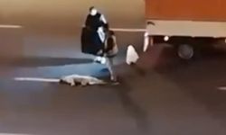 Böyle Vicdansızlık Görülmedi!