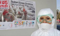 Kuş Gribi Alarmı: Hayvanlar Canlı Canlı Gömüldü