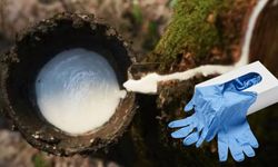 Lateks Nedir? Lateks Ne İşe Yarar?