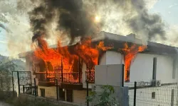 Evleri Yaktı, Jandarmaya Saldırdı: Vurularak Etkisiz Hale Getirildi