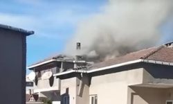 Darıca'da yangın!