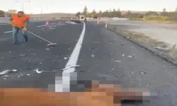 Karayolunda can pazarı: Otomobil başıboş atlara çarptı