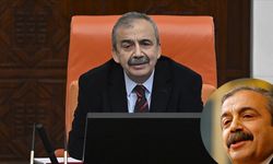 Sırrı Süreyya Önder Alevi mi, Aslen Nereli, Kimdir?