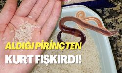 İzmit'te Aldığı Pirinçten Kurt Fışkırdı