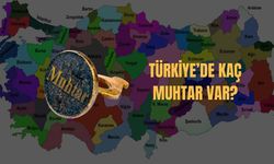 Türkiye’de Kaç Muhtar Var? Resmi Verilere Göre Muhtar Sayısı