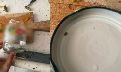 Kocaeli'de aldığı turşudan hamam böceği çıktı