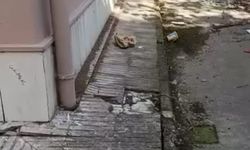 Gebze’de okul binasında tehlike iddiası