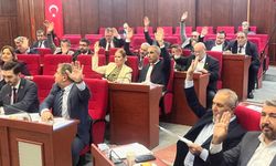 Arcan’ın görevlerine üç ayrı meclis üyesi seçildi