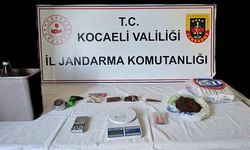 Kocaeli Jandarması'ndan Bonzai Operasyonu