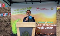 Karamürsel’de 3 Bin Fidan, 10 Cana İthaf Edildi