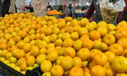 Pazarda fiyatlar dengede, yüzler gülüyor