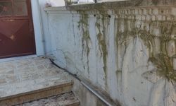 Kartepe’de Elektrik Hattı Çalışmalarına Tepki: “Güvenlik Riski Oluşturuyor”