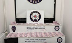 Bungalov Tuzakçılar Çetesi Çökertildi!