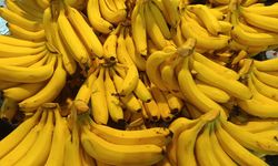 İzmit Perşembe Pazarı’nda Fiyatlar Bu Haftada Değişmedi