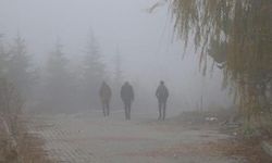 Kocaeli Güne Sisle Uyandı