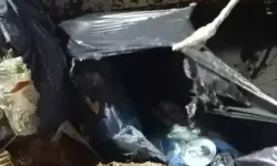 Çöpteki Bağlı Poşetten Kedi Çıktı