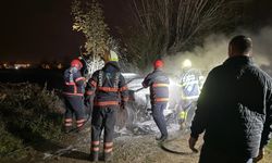 Cayır cayır yandı! Geriye külleri kaldı